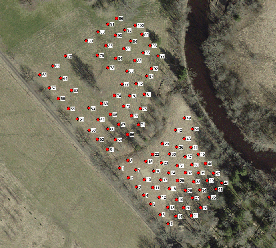 Aerofotole on märgitud punaste täppidega ja numbritega 100 tamme istutusplaan
